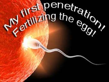 About Human Sexuality